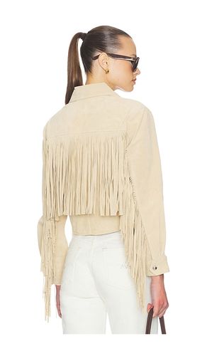 JACKE FRINGE in . Größe S. Also in M, L - BLANKNYC - Modalova