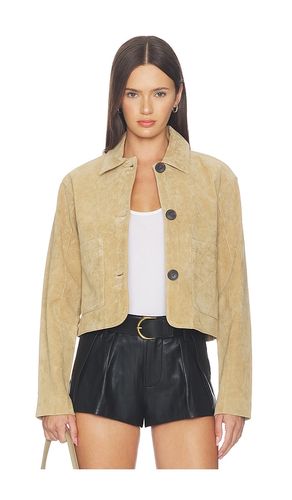 Suede Jacket in Tan. - size L (also in M, S) - BLANKNYC - Modalova