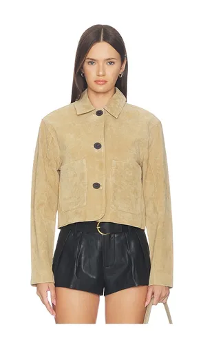 JACKE SUEDE in . Größe L. Also in M - BLANKNYC - Modalova