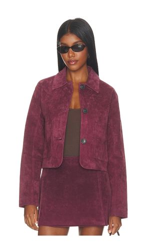 Suede Jacket in Wine. - size M (also in S, XS) - BLANKNYC - Modalova