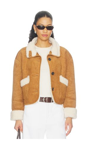 JACKE in . Größe L. Also in M, S, XS - BLANKNYC - Modalova