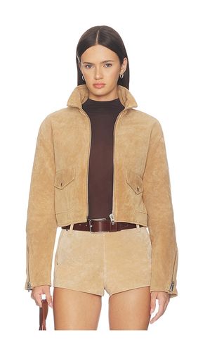 Suede Moto Jacket in . Taglia L. Also in M, S - BLANKNYC - Modalova