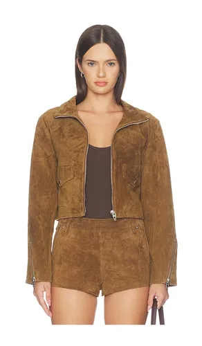 Suede Moto Jacket in . Size L. Also in M, S, XS - BLANKNYC - Modalova