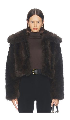 Faux Fur Jacket in Brown. - size L (also in M, S, XS) - BLANKNYC - Modalova