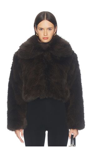 Faux Fur Jacket in Brown. - size L (also in M, S, XS) - BLANKNYC - Modalova