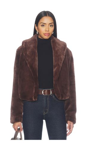 Faux Fur Teddy Coat in . Size L. Also in M, S, XS - BLANKNYC - Modalova