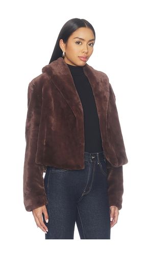 Faux Fur Teddy Coat in . Size L. Also in M, S, XS - BLANKNYC - Modalova