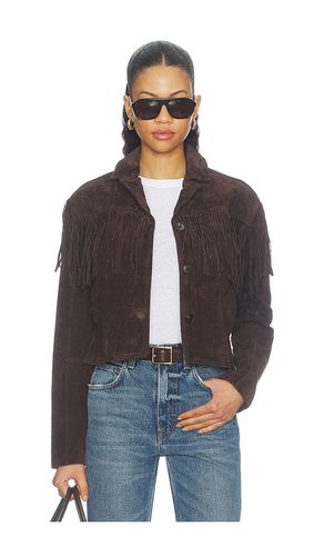 Suede Fringe Jacket in . Size L. Also in M, S, XS - BLANKNYC - Modalova
