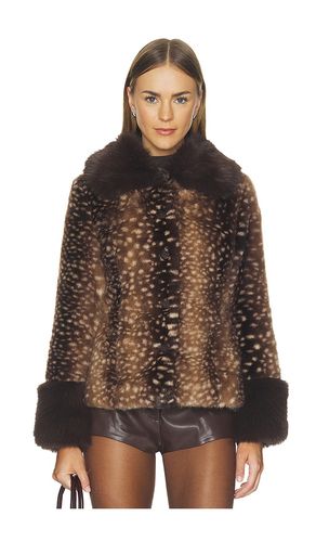 Jacket in Brown. - size L (also in M, S) - BLANKNYC - Modalova