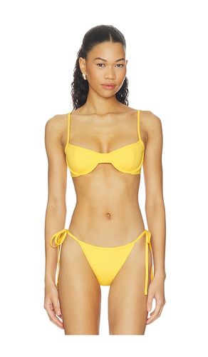 Deniz Bikini Top in . - size L (also in M, S, XL, XS) - Belle Anna - Modalova