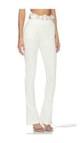 HOSE COMPACT TAILOR in . Größe 36. Also in 38 - Blumarine - Modalova