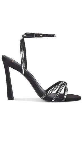 Serafina sandal in color black size 10 in - Black. Size 10 (also in 6.5, 7.5, 8, 8.5, 9.5) - BLACK SUEDE STUDIO - Modalova