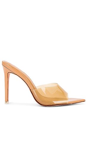 Bella sandal in color brown size 11 in - Brown. Size 11 (also in 5.5, 9) - BLACK SUEDE STUDIO - Modalova
