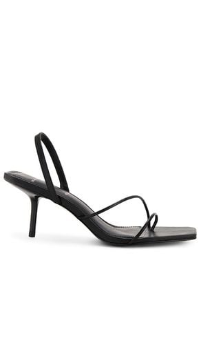 SUEDE STUDIO Iris 65 Mule in . Size 6, 7.5, 8, 8.5, 9, 9.5 - BLACK SUEDE STUDIO - Modalova