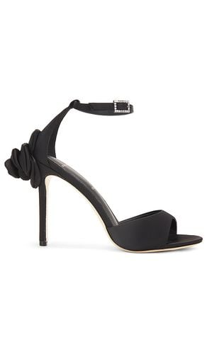 SUEDE STUDIO x REVOLVE Josey 100 Heel in . Size 6.5, 7.5, 8, 9.5 - BLACK SUEDE STUDIO - Modalova