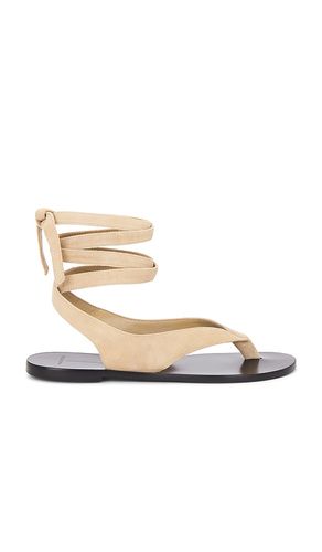 Tres Sandal in . Size 36, 37, 38.5, 39, 40, 41, 42 - BLACK SUEDE STUDIO - Modalova