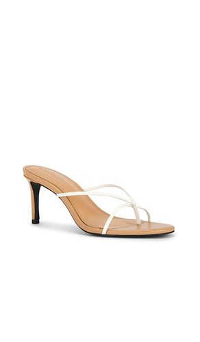 SANDALE JADE 65 in . Größe 37. Also in 38 - BLACK SUEDE STUDIO - Modalova