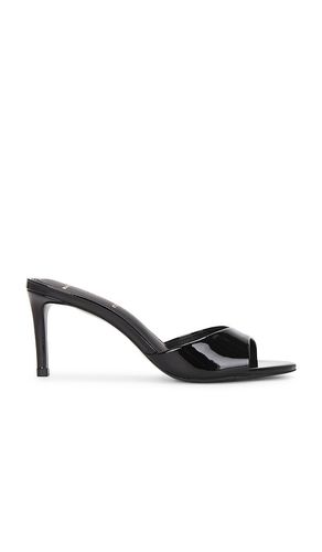 SUEDE STUDIO Freddie 65 Mule in . - size 37 (also in 38, 39) - BLACK SUEDE STUDIO - Modalova