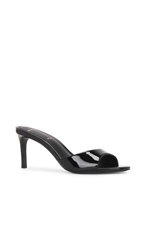 SUEDE STUDIO Freddie 65 Mule in . Size 35. Also in 37, 38 - BLACK SUEDE STUDIO - Modalova