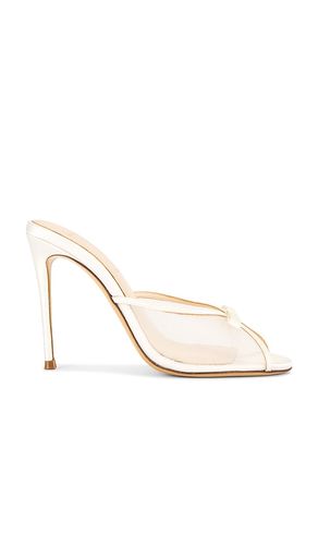Sammie 100 Mule in . - size 37 (also in 38, 39, 40) - BLACK SUEDE STUDIO - Modalova