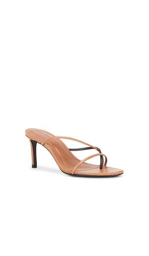 Carla 65 Mule in . Size 36.5. Also in 37, 38.5, 39, 39.5 - BLACK SUEDE STUDIO - Modalova