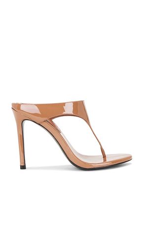 PANTOLETTE LAUREL 100 in . Größe 38. Also in 39 - BLACK SUEDE STUDIO - Modalova