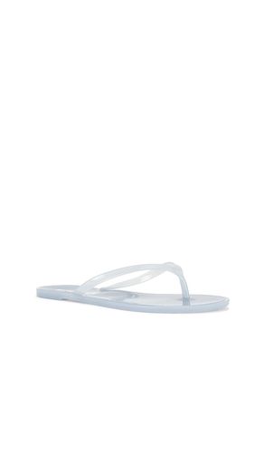 FLIP FLOPS CRYSTAL in . Größe 35/36. Also in 37 - BLACK SUEDE STUDIO - Modalova