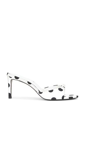 PANTOLETTE ALBIE 65 in . Größe 36. Also in 37, 38, 39 - BLACK SUEDE STUDIO - Modalova