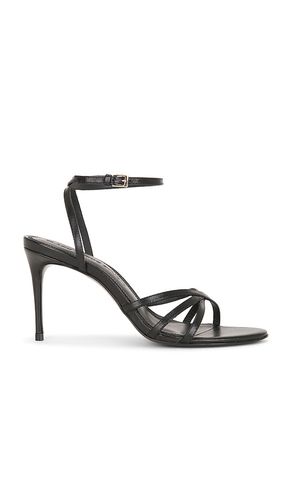SUEDE STUDIO Olie 80 Sandal in . Size 36. Also in 37, 38, 40 - BLACK SUEDE STUDIO - Modalova