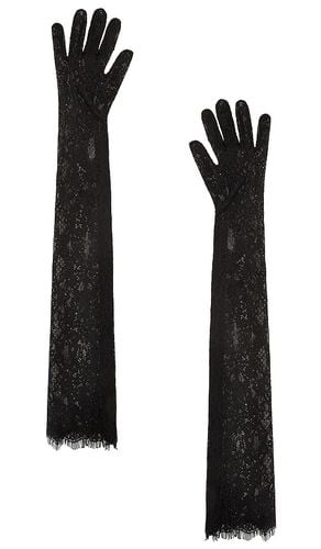 Lace Gloves in . - size M/L (also in XS/S) - Bronx and Banco - Modalova