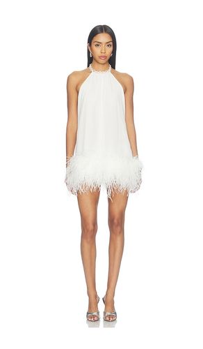 Halter Neck Mini Dress With Feather Trim in . Size L. Also in M, XL - Bronx Banco - Modalova