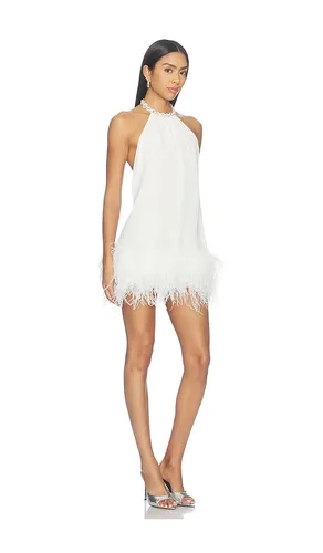 Halter Neck Mini Dress With Feather Trim in . Size L. Also in M, S, XL, XS - Bronx Banco - Modalova