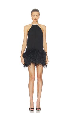 Halter Neck Mini Dress With Feather Trim in . Size L. Also in M, S, XL, XS - Bronx Banco - Modalova