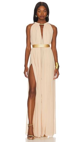 Japera Halter Neck Gown in . Size S - Bronx and Banco - Modalova