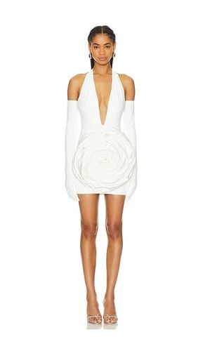 Camellia Blanc Rose Mini Dress in . Size L, S, XL - Bronx and Banco - Modalova