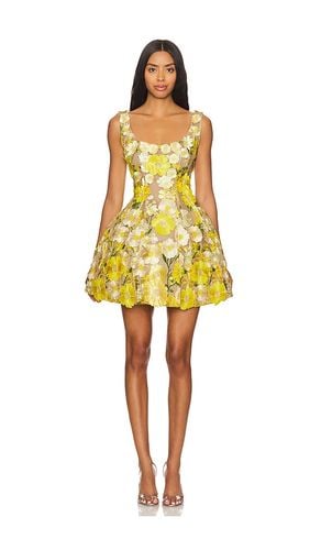 X REVOLVE Jasmine Mini Dress in . - size L (also in S, XS) - Bronx and Banco - Modalova