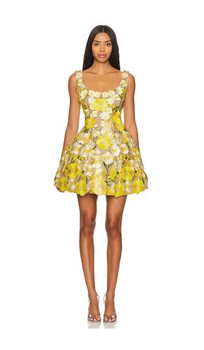 X REVOLVE Jasmine Mini Dress in . - size S (also in XS) - Bronx and Banco - Modalova