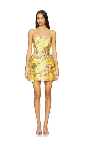 Jasmine Maraya Mini Dress in . - size L (also in M, S, XL, XS) - Bronx and Banco - Modalova