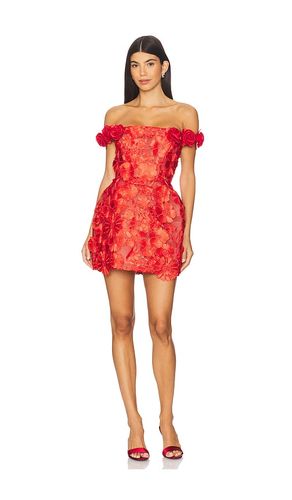Jasmine Maraya Mini Dress in . - size L (also in M, S, XL, XS) - Bronx and Banco - Modalova