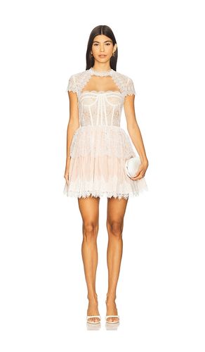 Daphne Mini Dress in . - size L (also in M, S, XS) - Bronx and Banco - Modalova