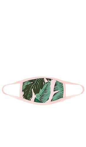 BEACH RIOT Face Mask in Green - BEACH RIOT - Modalova
