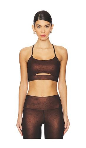 Isla Top in Brown. - size L (also in M, S, XS) - BEACH RIOT - Modalova