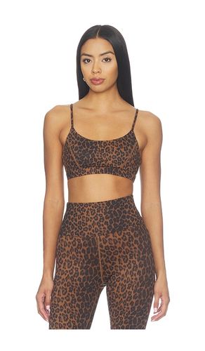 Sara Sports Bra in Brown. - size S (also in XS, M, XL) - BEACH RIOT - Modalova