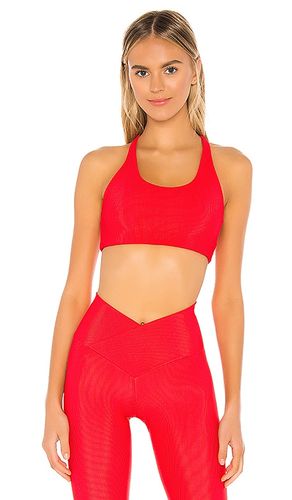 Rocky Sports Bra in . - size L (also in XL) - BEACH RIOT - Modalova