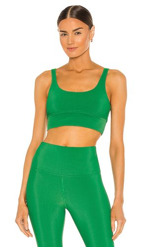 Leah Sports Bra in Green. - size L (also in S, XS) - BEACH RIOT - Modalova