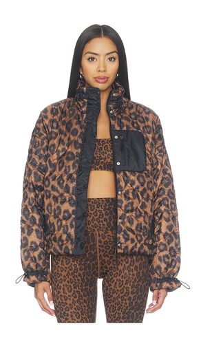 Harvie Jacket in . Taglia L. Also in M, S, XL, XS - BEACH RIOT - Modalova