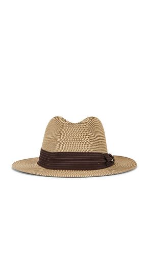 Roma Straw Packable Fedora Hat in . Size S/M. Also in L/XL - Brixton - Modalova