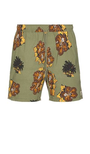 Everyday Stretch Hybrid Swim Short in Olive. - size L (also in M) - Brixton - Modalova