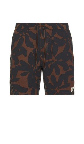 Everyday Stretch Hybrid Swim Short in Brown. - size L (also in S, XL/1X) - Brixton - Modalova