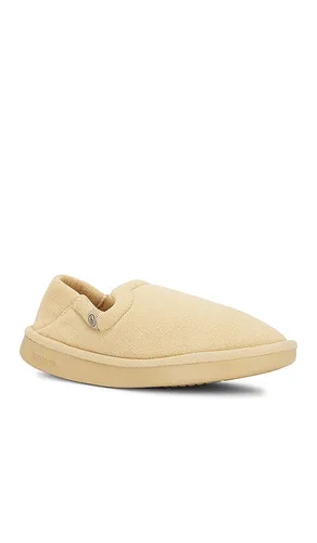 SCHUHE ESSENTIAL in . Größe 11/11.5. Also in 8/8.5, 9/9.5, 13/13.5 - Brunch - Modalova